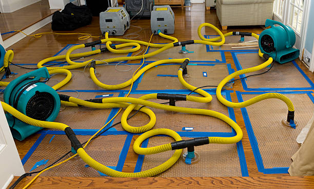 Professional Sewage Cleanup technician working in Franklin, MO